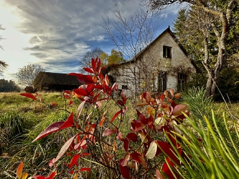 Prodej domu 100 m², Nová Ves nad Lužnicí