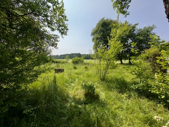 Prodej domu 100 m², Nová Ves nad Lužnicí