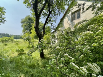 Prodej domu 100 m², Nová Ves nad Lužnicí