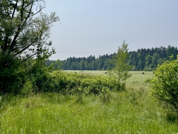 Prodej domu 100 m², Nová Ves nad Lužnicí