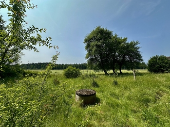 Prodej domu 100 m², Nová Ves nad Lužnicí