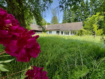 Prodej domu 100 m², Nová Ves nad Lužnicí