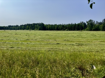 Prodej domu 100 m², Nová Ves nad Lužnicí