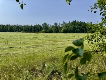 Prodej domu 100 m², Nová Ves nad Lužnicí