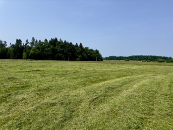 Prodej domu 100 m², Nová Ves nad Lužnicí