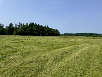 Prodej domu 100 m², Nová Ves nad Lužnicí