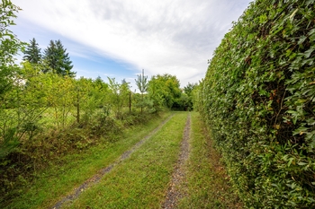 Prodej chaty / chalupy 81 m², Liběchov