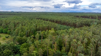Prodej chaty / chalupy 81 m², Liběchov