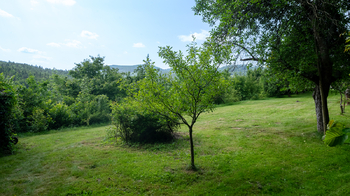 Prodej chaty / chalupy 40 m², Boskovice