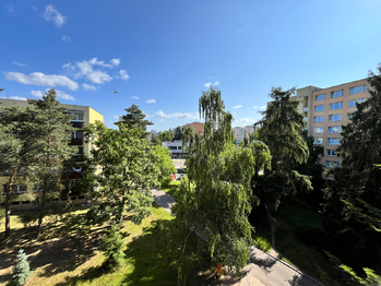 Pronájem bytu 1+1 v osobním vlastnictví 40 m², Mladá Boleslav