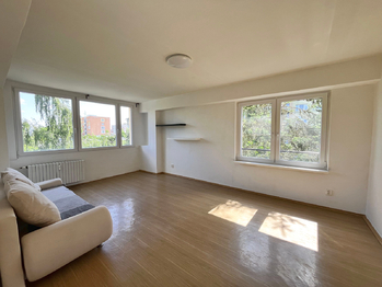 Pronájem bytu 1+1 v osobním vlastnictví 40 m², Mladá Boleslav
