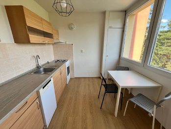 Pronájem bytu 1+1 v osobním vlastnictví 40 m², Mladá Boleslav