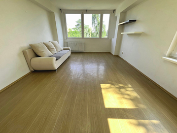 Pronájem bytu 1+1 v osobním vlastnictví 40 m², Mladá Boleslav