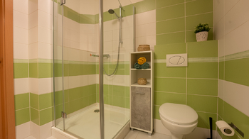 Pronájem bytu 2+1 v osobním vlastnictví 68 m², Brno