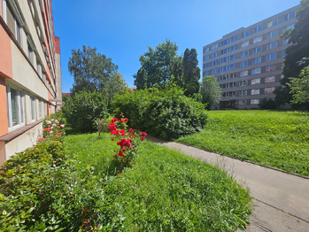 Prodej bytu 2+kk v osobním vlastnictví 40 m², Praha 4 - Michle