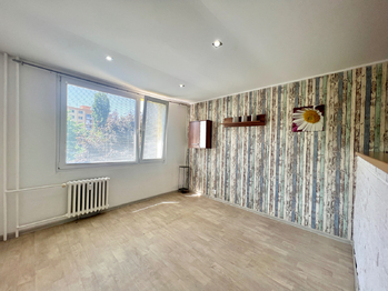 Prodej bytu 1+1 v družstevním vlastnictví 42 m², Chomutov