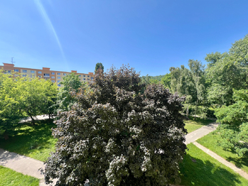 Prodej bytu 1+1 v družstevním vlastnictví 42 m², Chomutov