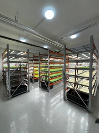 Pronájem skladovacích prostor 346 m², Ostrava