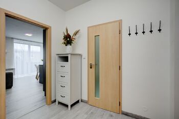 dveře do koupelny - Pronájem bytu 3+kk v osobním vlastnictví 55 m², Brno