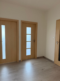 předsíň - Pronájem bytu 3+kk v osobním vlastnictví 55 m², Brno
