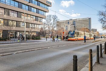 Pronájem malého objektu, Praha 3 - Žižkov