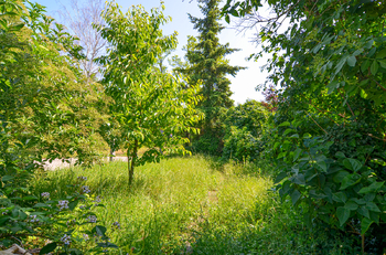 Prodej domu 82 m², Břeclav