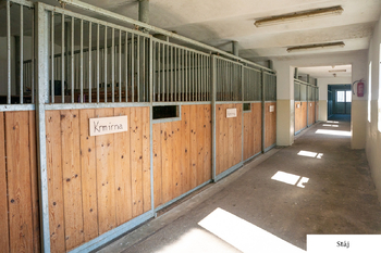 Prodej ubytovacího zařízení 372 m², Zvěrkovice