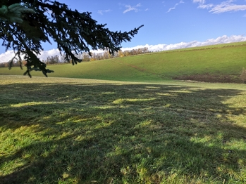 Prodej chaty / chalupy 104 m², Horní Olešnice