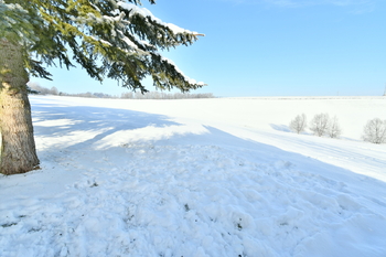 Prodej chaty / chalupy 104 m², Horní Olešnice