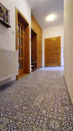 Prodej apartmánu 223 m², Suchdol nad Lužnicí