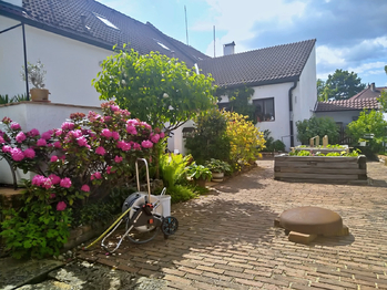 Prodej apartmánu 223 m², Suchdol nad Lužnicí