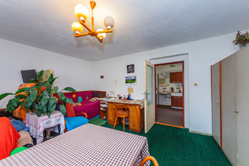 Prodej domu 320 m², Straškov-Vodochody