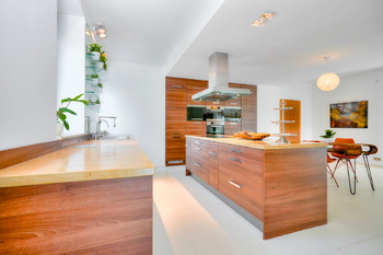 Prodej domu 484 m², Kounice