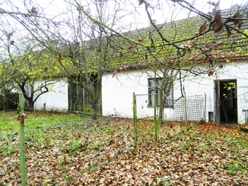 Podzim za humny. - Prodej domu 290 m², Zálší