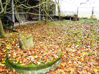 Dvůhá studna. - Prodej domu 290 m², Zálší