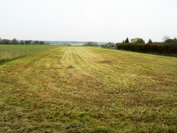 Výhled ze zadní zahrady. - Prodej domu 290 m², Zálší