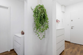 Pronájem bytu 3+1 v osobním vlastnictví 66 m², Praha 10 - Strašnice