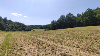 Prodej pozemku 6389 m², Nový Malín