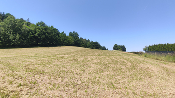 Prodej pozemku 6389 m², Nový Malín