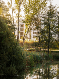 Prodej bytu 1+kk v osobním vlastnictví 60 m², České Budějovice