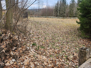 Prodej pozemku 1527 m², Vacov