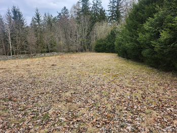 Prodej pozemku 1527 m², Vacov