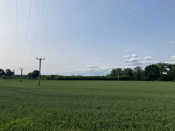 Prodej pozemku 18454 m², Uherský Ostroh