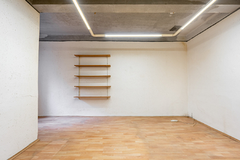 Prodej bytu atypický v osobním vlastnictví 47 m², Praha 4 - Nusle