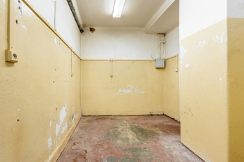 Prodej bytu atypický v osobním vlastnictví 47 m², Praha 4 - Nusle