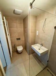 Prodej bytu 1+kk v osobním vlastnictví 38 m², Kladno