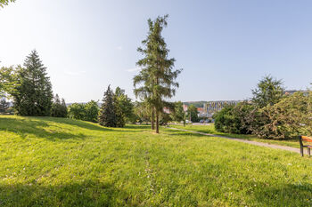 Park u domu - Pronájem bytu 1+kk v osobním vlastnictví 40 m², Praha 9 - Vysočany