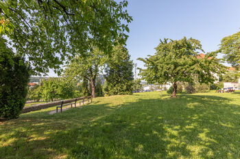 Park u domu - Pronájem bytu 1+kk v osobním vlastnictví 40 m², Praha 9 - Vysočany