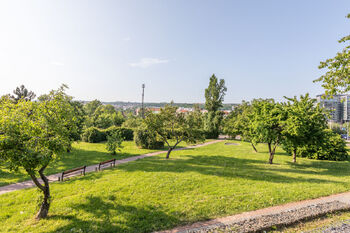 Park u domu - Pronájem bytu 1+kk v osobním vlastnictví 40 m², Praha 9 - Vysočany