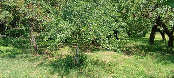 Prodej pozemku 851 m², Modřice